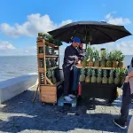 Casa Mikali Alfeizerao