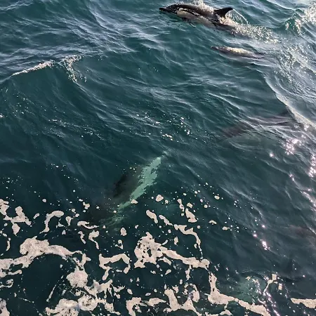 Casa Mikali Alfeizerão