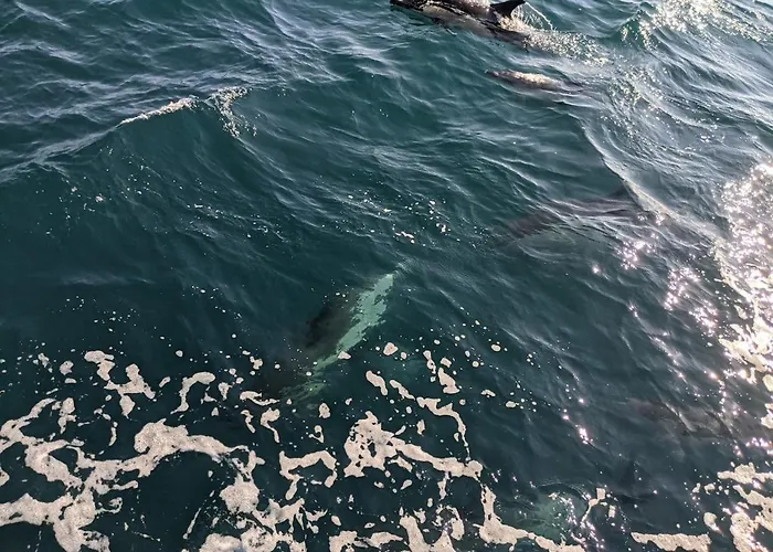 Casa Mikali Alfeizerão